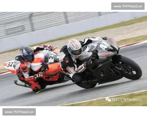 极速风驰:公路自行车赛中的速度与耐力较量全记录 - 副本 (2) 极速风驰:公路自行车赛中的速度与耐力较量全记录 - 副本 (2)